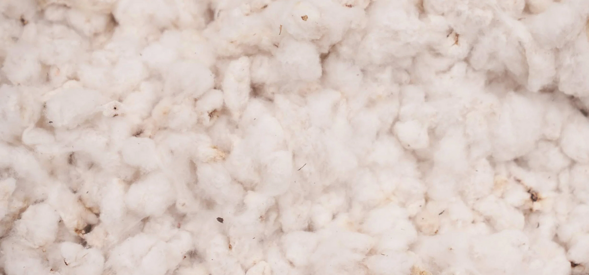 Natural fibres